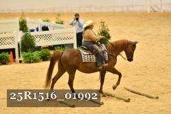25R1516_01992 thumbnail