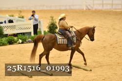25R1516_01993 thumbnail