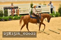 25R1516_02022 thumbnail