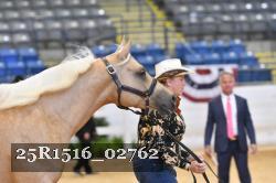 25R1516_02762 thumbnail