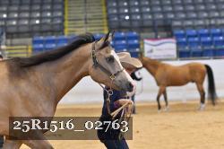 25R1516_02763 thumbnail