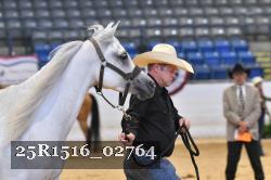 25R1516_02764 thumbnail