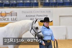 25R1516_02765 thumbnail