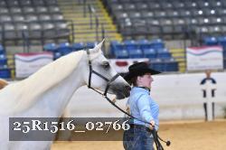 25R1516_02766 thumbnail