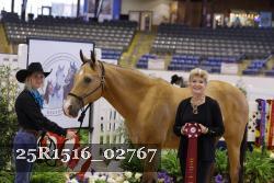 25R1516_02767 thumbnail