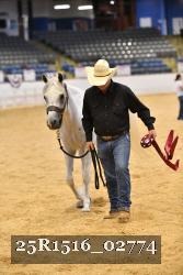 25R1516_02774 thumbnail