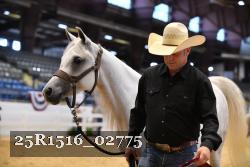 25R1516_02775 thumbnail