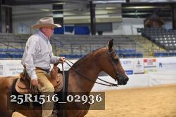 25R1516_02936 thumbnail