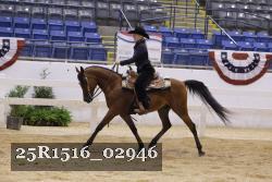25R1516_02946 thumbnail