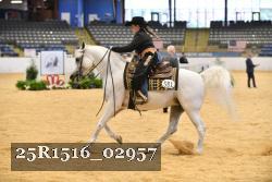 25R1516_02957 thumbnail
