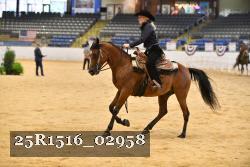 25R1516_02958 thumbnail