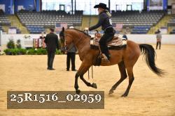 25R1516_02959 thumbnail