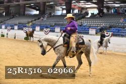 25R1516_02966 thumbnail