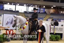 25R1516_02973 thumbnail