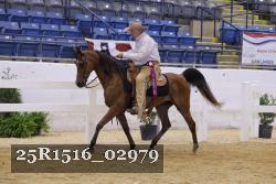 25R1516_02979 thumbnail