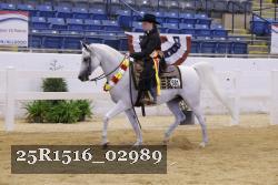 25R1516_02989 thumbnail