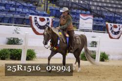 25R1516_02994 thumbnail