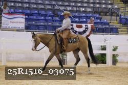 25R1516_03075 thumbnail