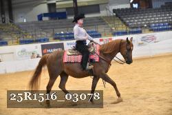 25R1516_03078 thumbnail