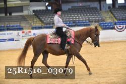 25R1516_03079 thumbnail