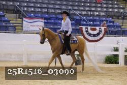 25R1516_03090 thumbnail
