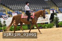 25R1516_03095 thumbnail