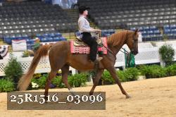 25R1516_03096 thumbnail
