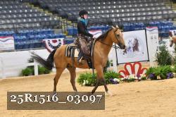 25R1516_03097 thumbnail
