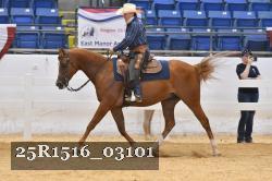 25R1516_03101 thumbnail