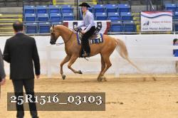 25R1516_03103 thumbnail