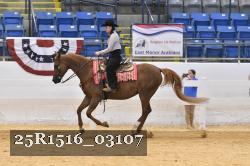 25R1516_03107 thumbnail