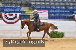 25R1516_03108 thumbnail
