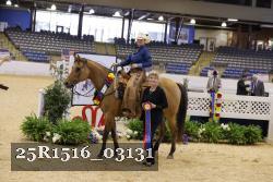 25R1516_03131 thumbnail