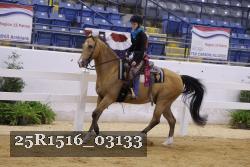 25R1516_03133 thumbnail