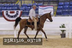 25R1516_03718 thumbnail