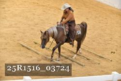 25R1516_03724 thumbnail
