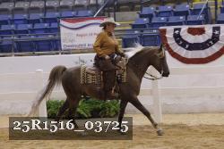 25R1516_03725 thumbnail