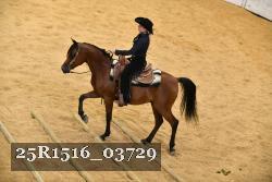 25R1516_03729 thumbnail
