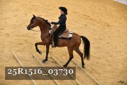 25R1516_03730 thumbnail