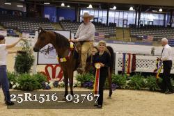 25R1516_03767 thumbnail