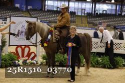 25R1516_03770 thumbnail