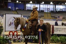 25R1516_03774 thumbnail