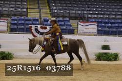 25R1516_03788 thumbnail