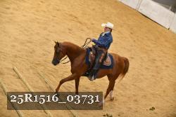 25R1516_03731 thumbnail