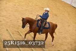 25R1516_03732 thumbnail