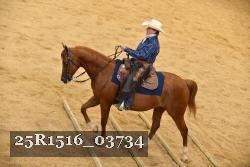 25R1516_03734 thumbnail