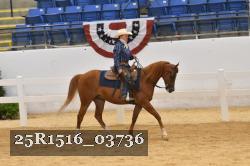 25R1516_03736 thumbnail