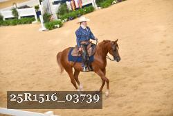 25R1516_03739 thumbnail
