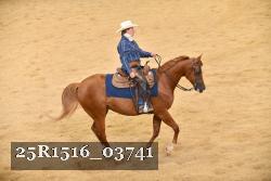 25R1516_03741 thumbnail