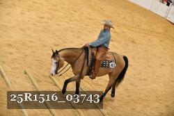 25R1516_03743 thumbnail